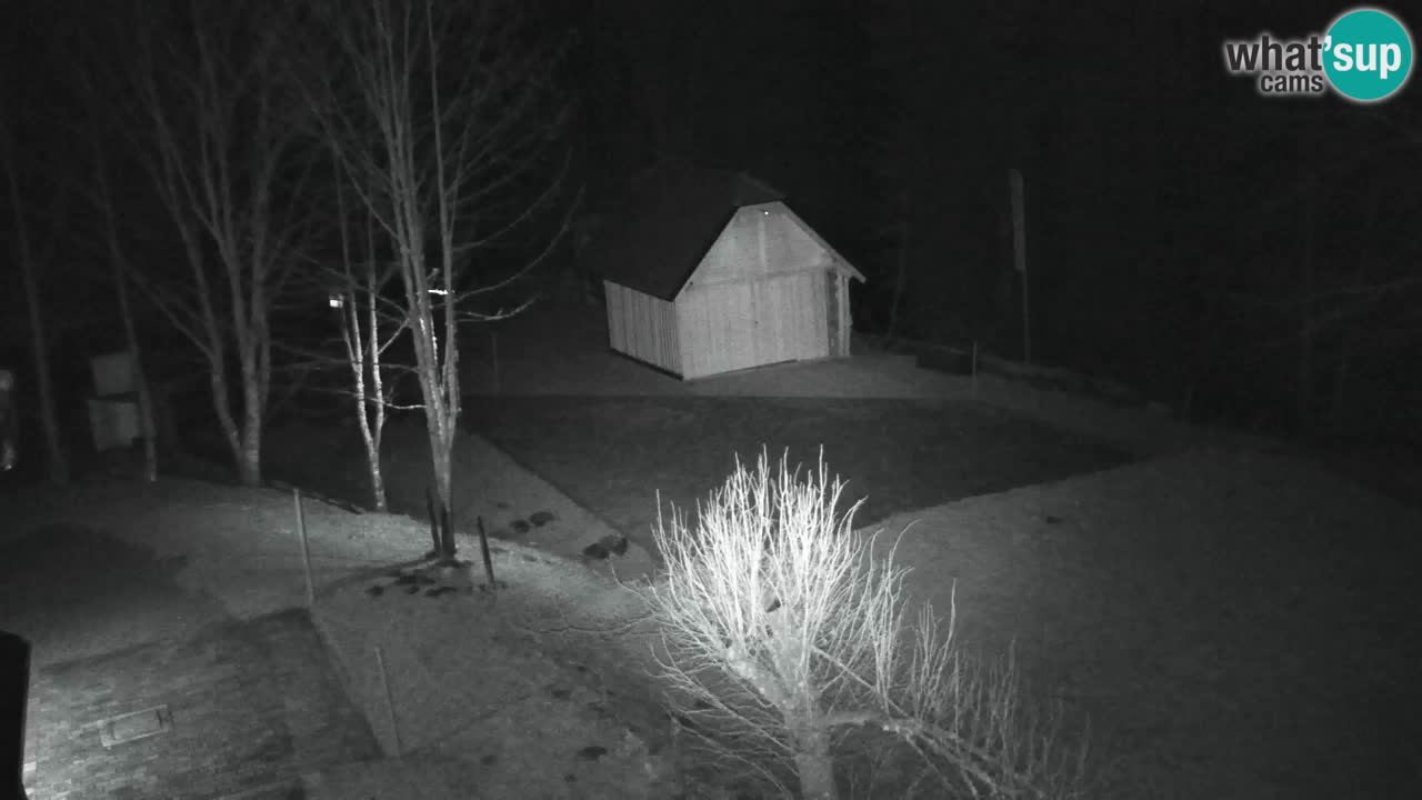 Webcam Lukanja – Pohorje houses a Water village