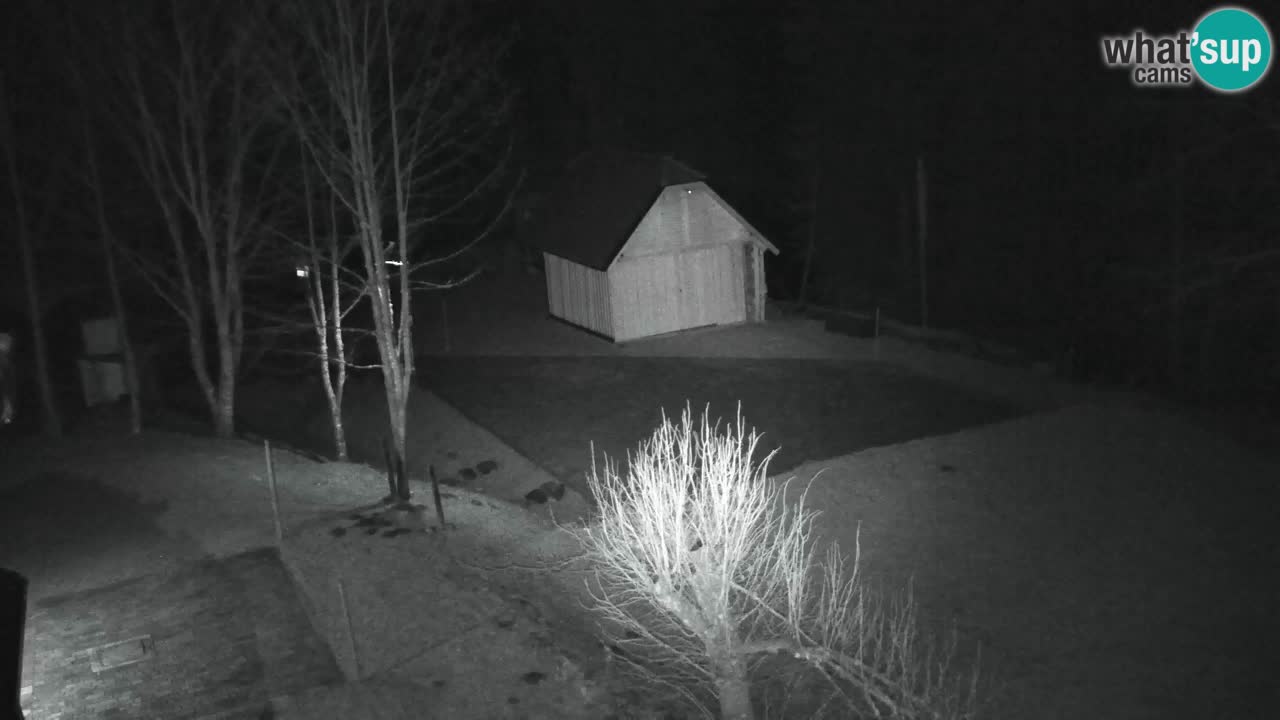 Webcam Lukanja – Pohorje houses a Water village