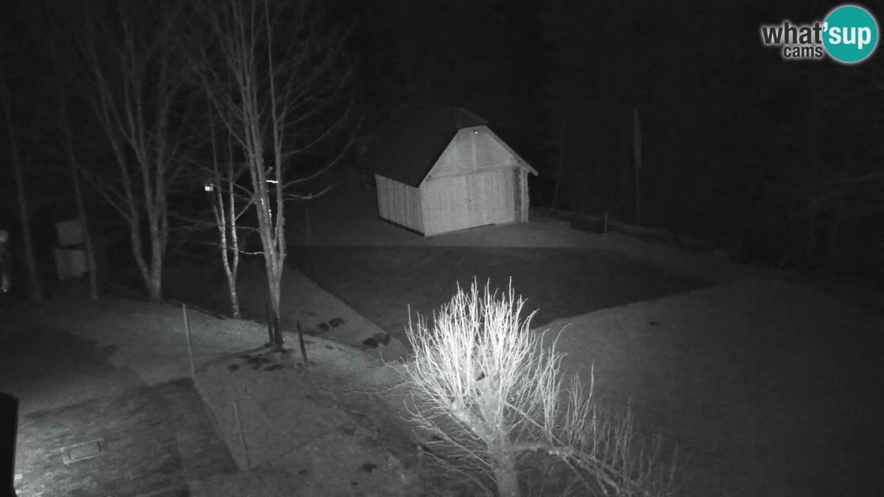 Webcam Lukanja – Water Village | Pohorje Houses