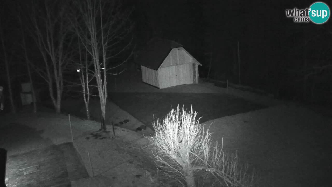 Webcam Lukanja – Pohorje houses a Water village