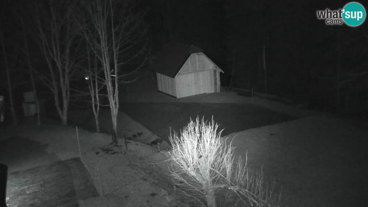 Webcam Lukanja – Water Village | Pohorje Houses