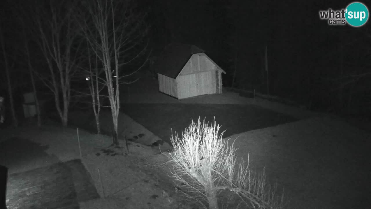 Webcam Lukanja – Pohorje houses a Water village