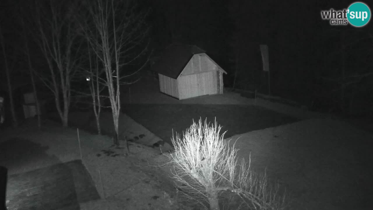 Webcam Lukanja – Pohorje houses a Water village