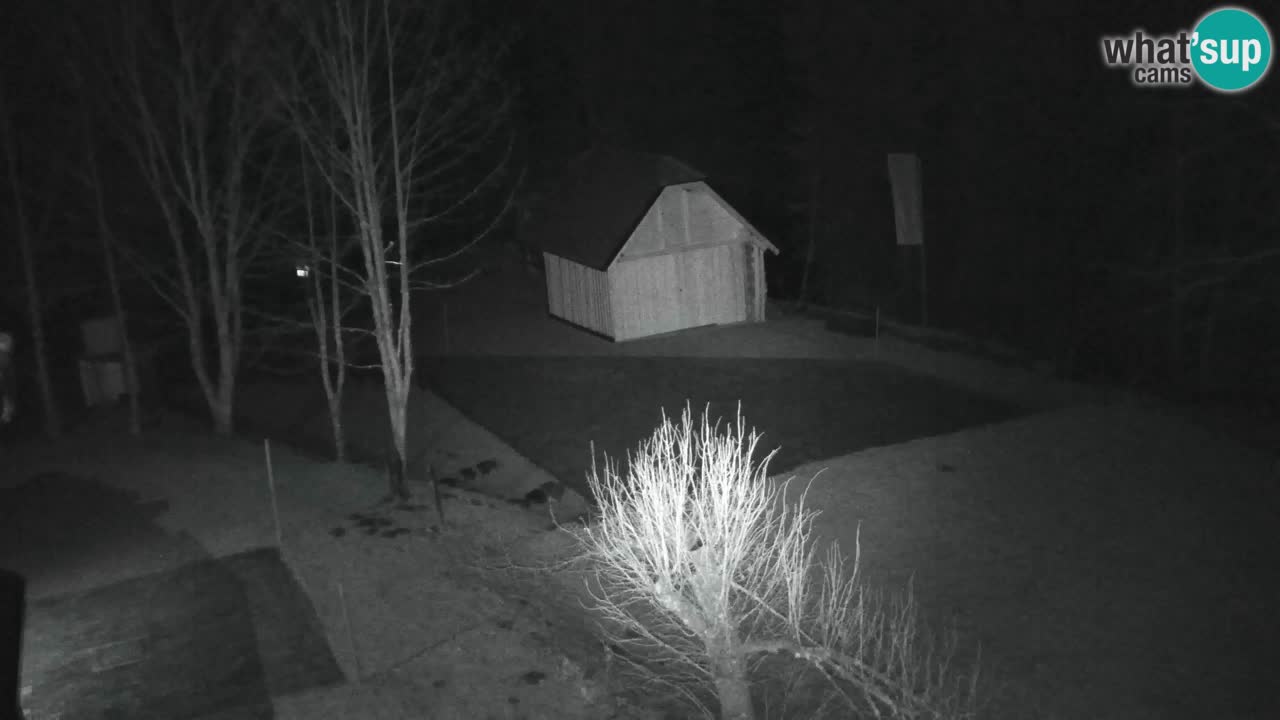 Web kamera Lukanja – Water Village | Pohorje Houses