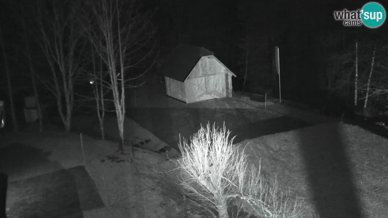 Web kamera Lukanja – Water Village | Pohorje Houses