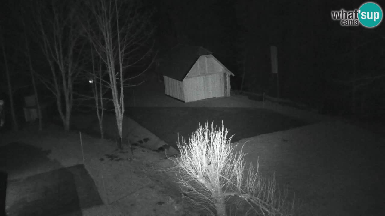 Webcam Lukanja – Water Village | Pohorje Houses