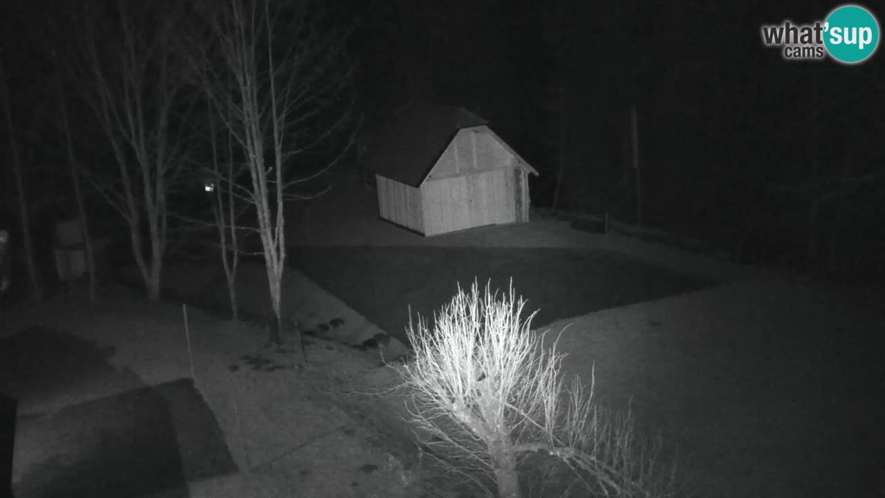 Webcam Lukanja – Water Village | Pohorje Houses