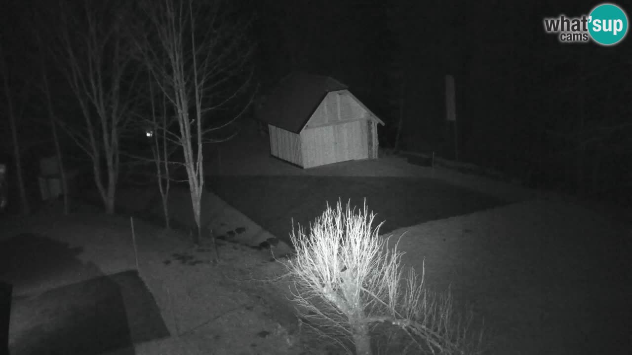 Webcam Lukanja – Pohorje houses a Water village