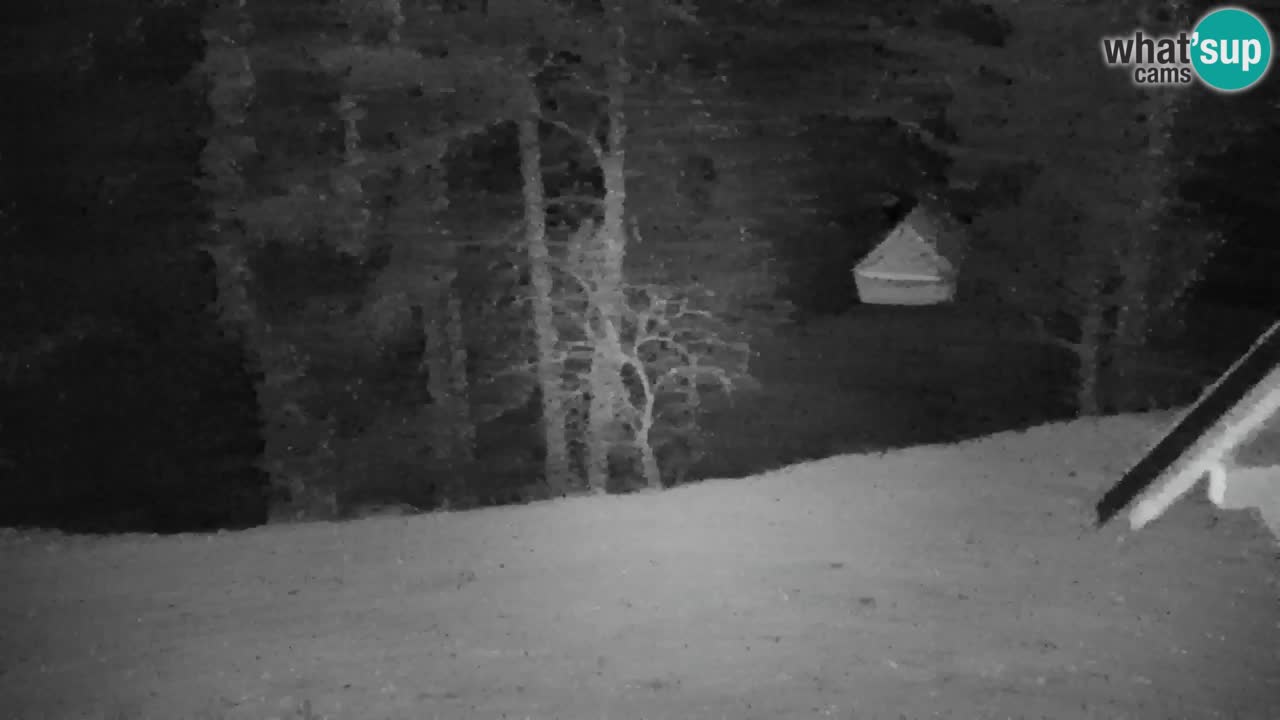 Web kamera Lukanja – Water Village | Pohorje Houses