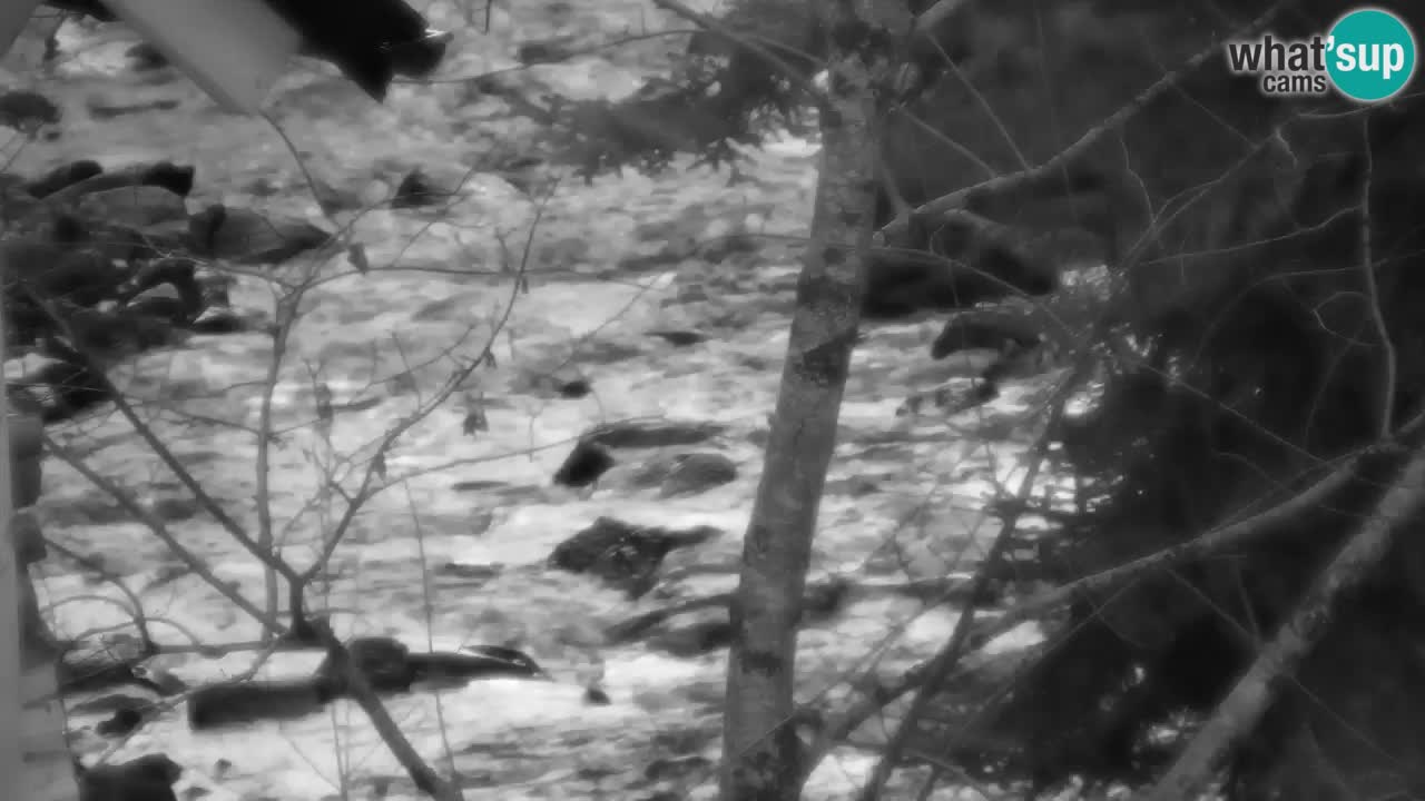 Webcam Lukanja – Pohorje houses a Water village