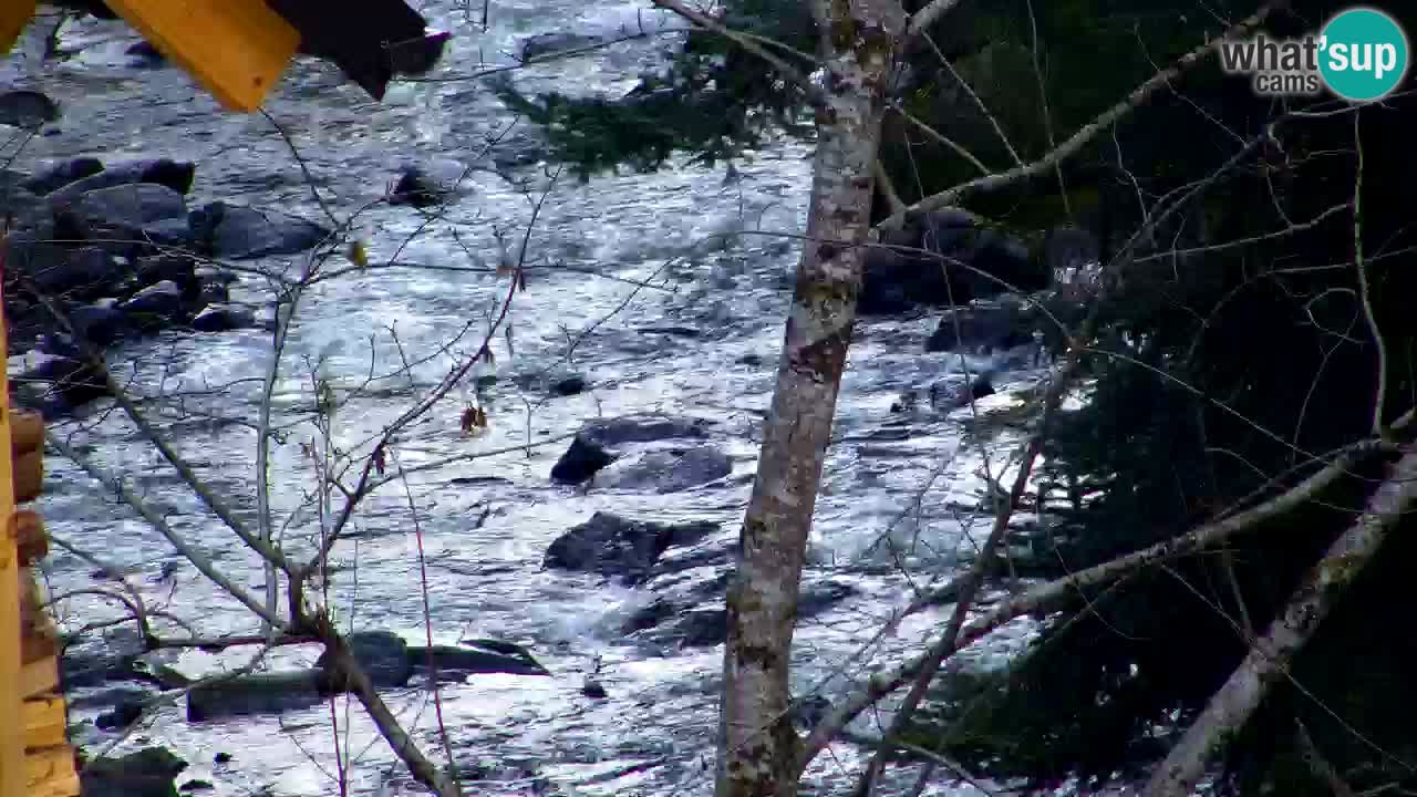 Webcam Lukanja – Water Village | Pohorje Houses