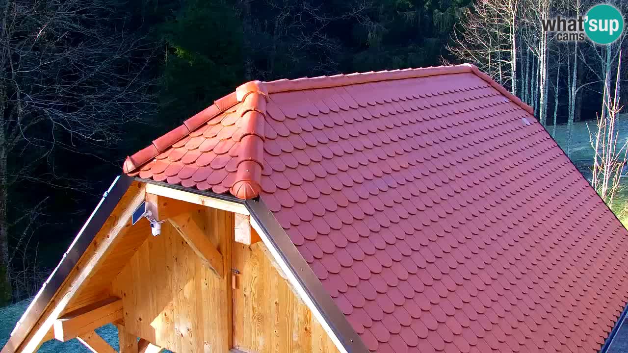 Webcam Lukanja – Water Village | Pohorje Houses