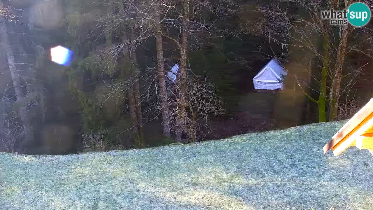 Webcam Lukanja – Water Village | Pohorje Houses