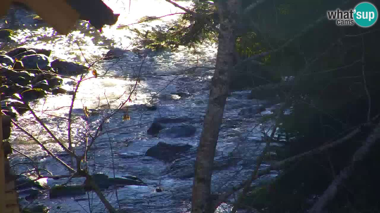Web kamera Lukanja – Water Village | Pohorje Houses