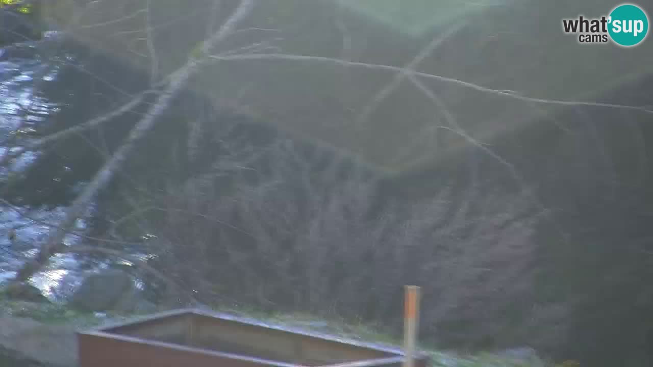 Web kamera Lukanja – Water Village | Pohorje Houses