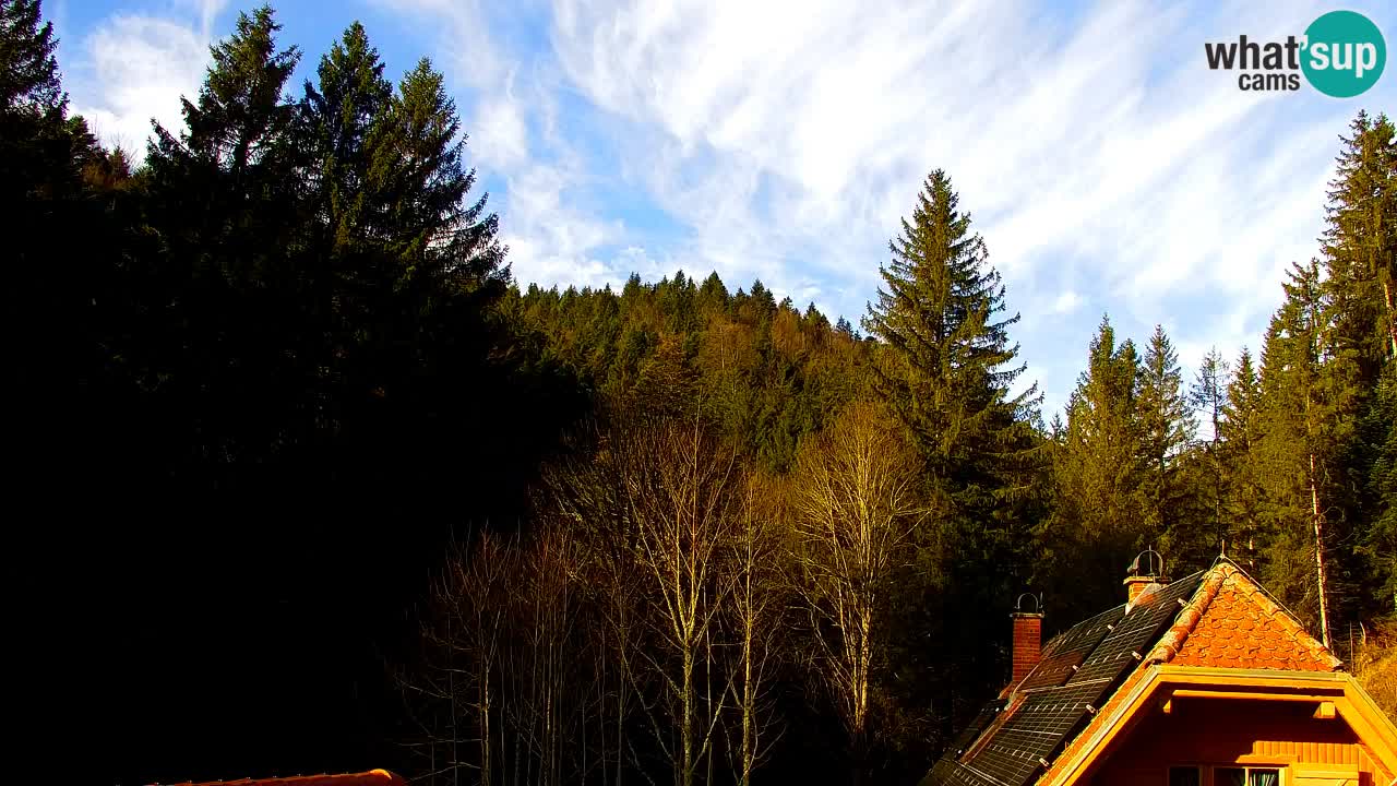 Webcam Lukanja – Water Village | Pohorje Houses