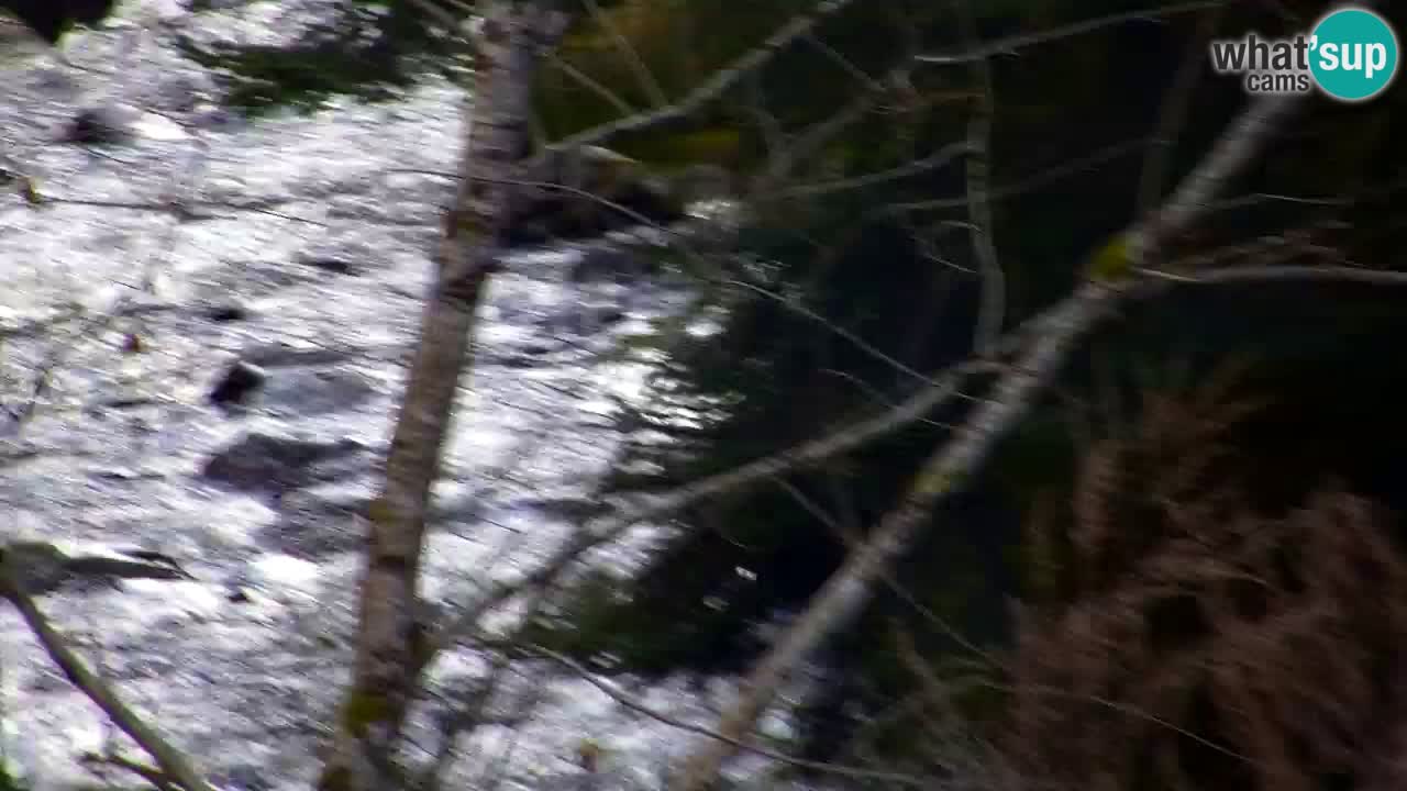 Webcam Lukanja – Water Village | Pohorje Houses