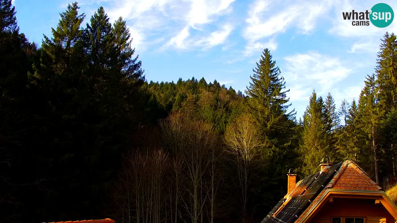 Webcam Lukanja – Water Village | Pohorje Houses