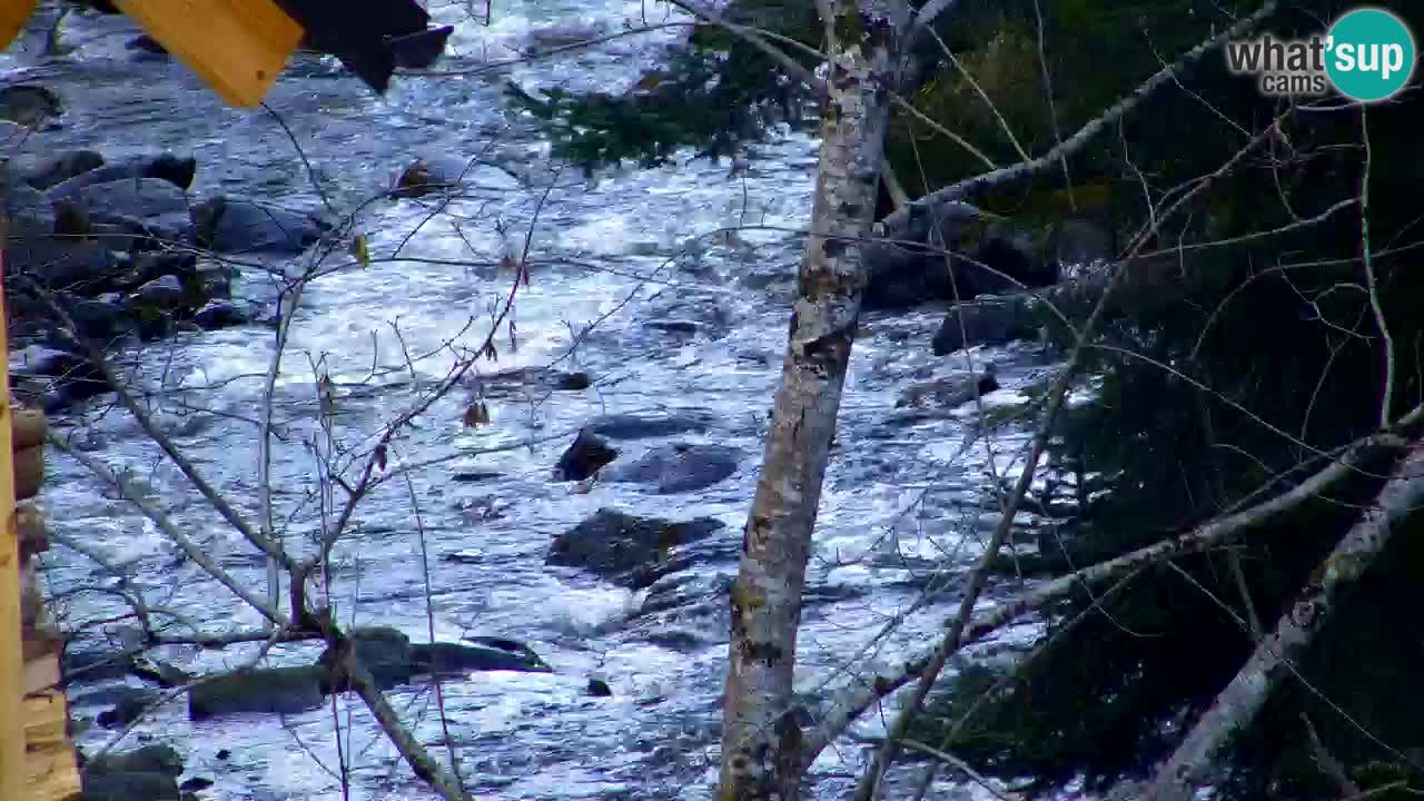 Webcam Lukanja – Water Village | Pohorje Houses