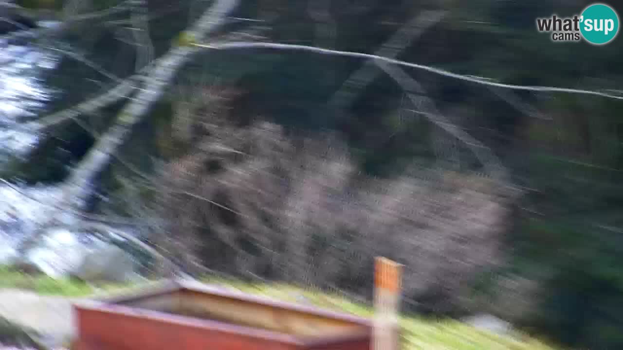 Webcam Lukanja – Water Village | Pohorje Houses