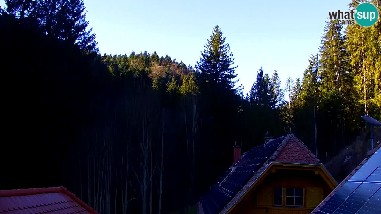 Spletna kamera Lukanja – Water Village | Pohorje Houses