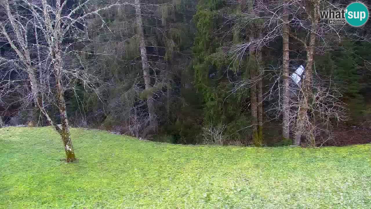 Webcam Lukanja – Pohorje houses a Water village