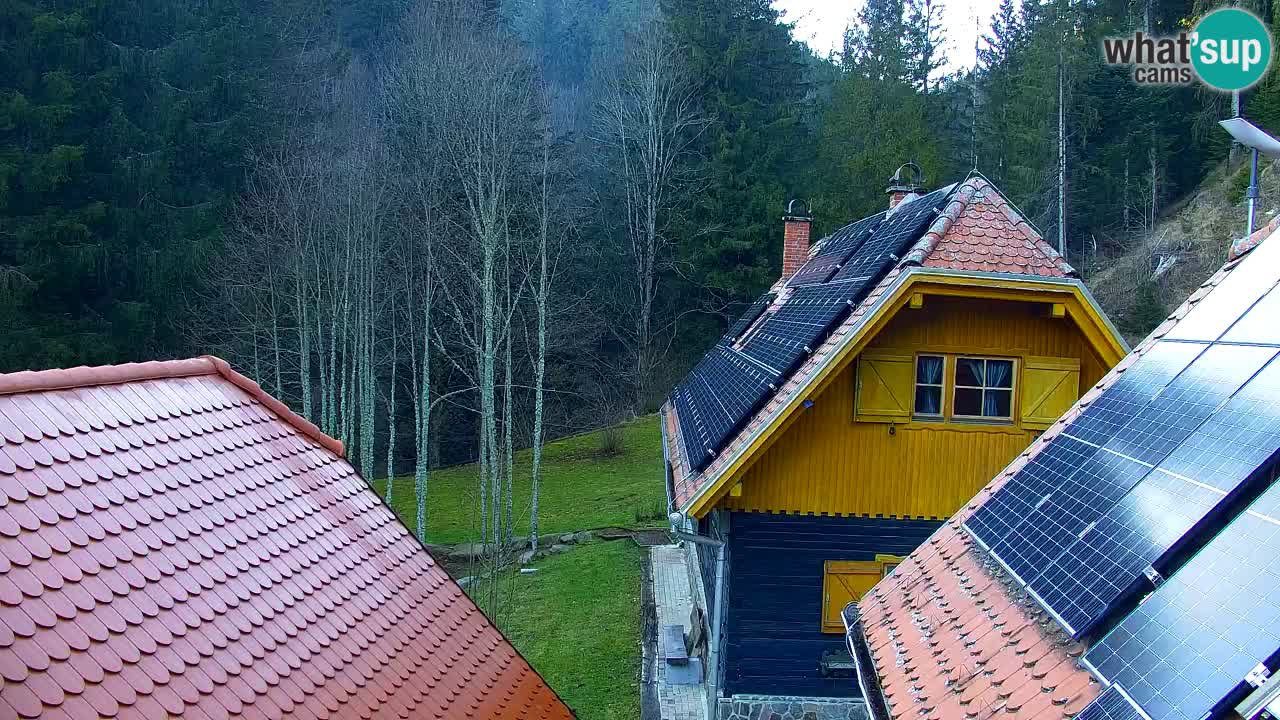 Webcam Lukanja – Pohorje houses a Water village