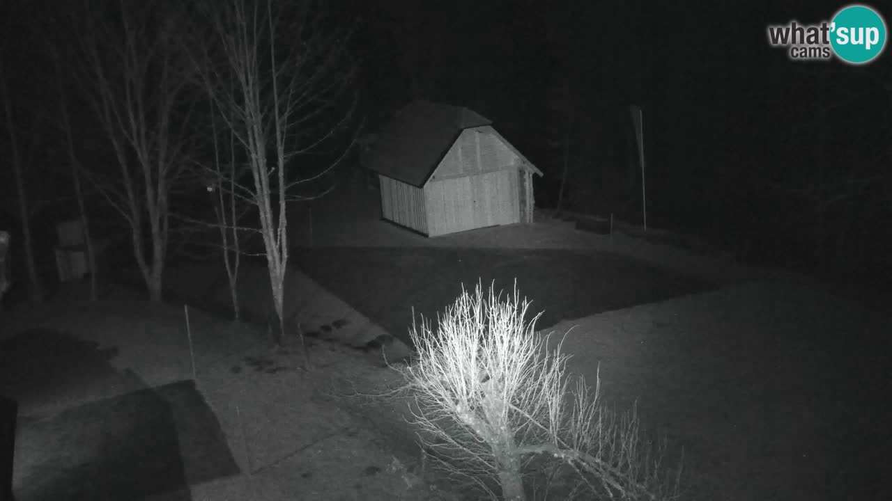 Webcam Lukanja – Pohorje houses a Water village