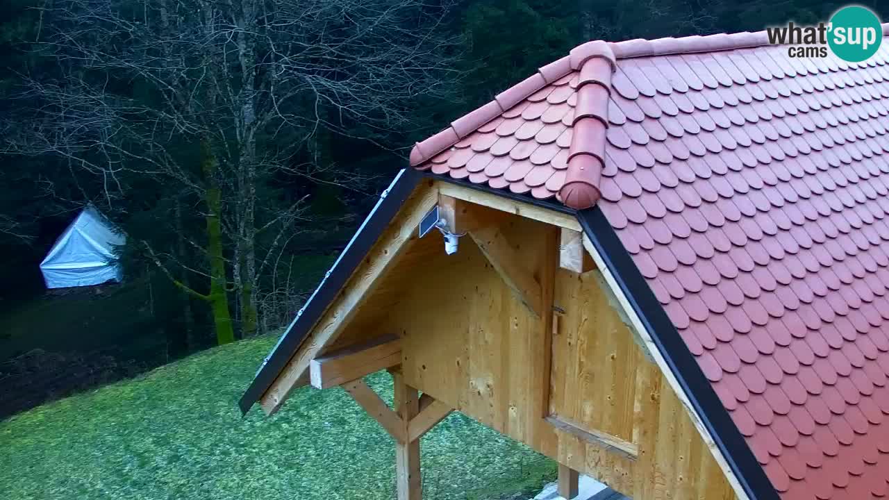 Webcam Lukanja – Pohorje houses a Water village