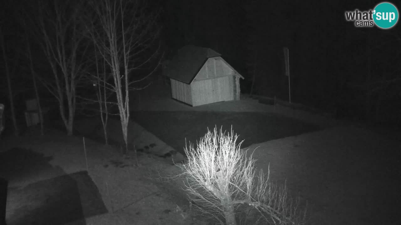 Webcam Lukanja – Pohorje houses a Water village