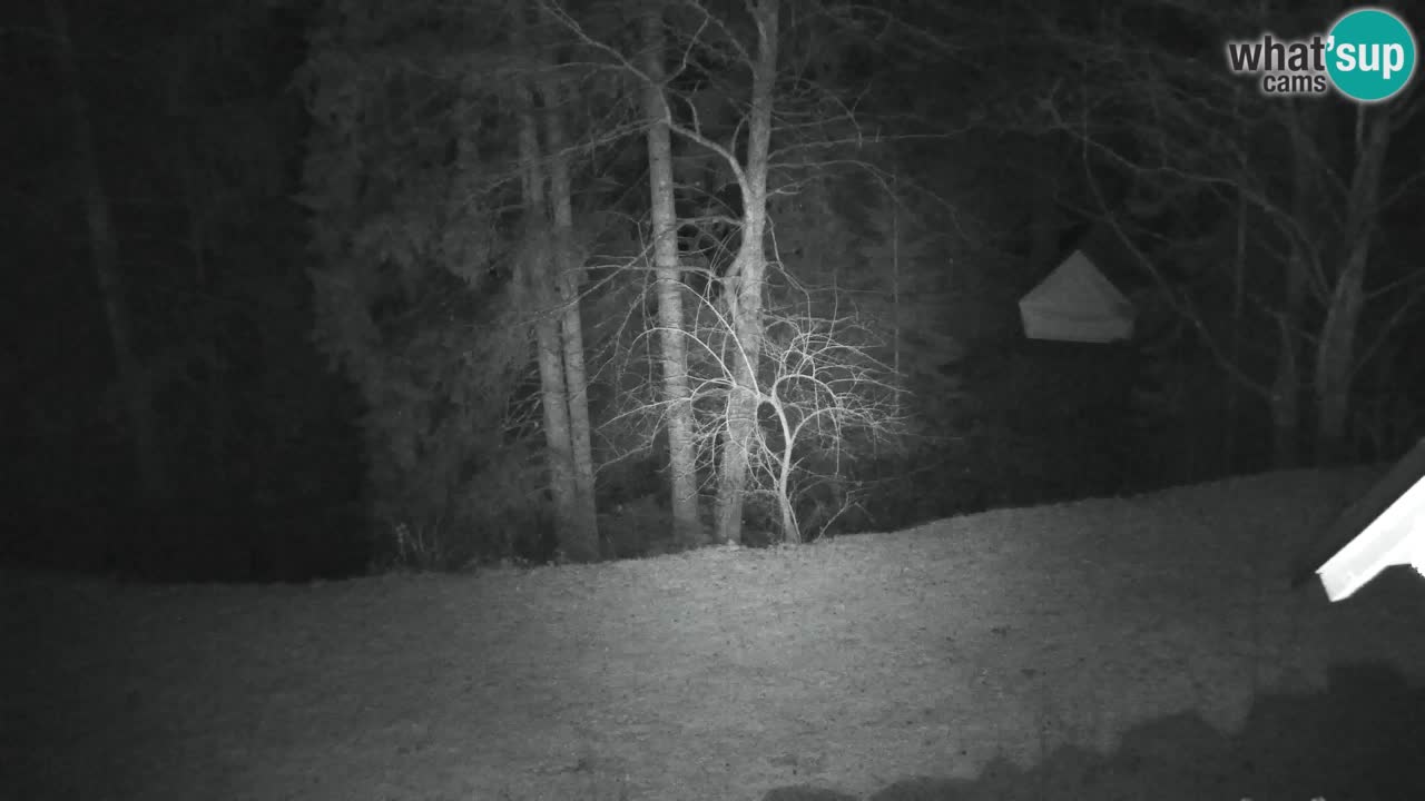 Webcam Lukanja – Pohorje houses a Water village