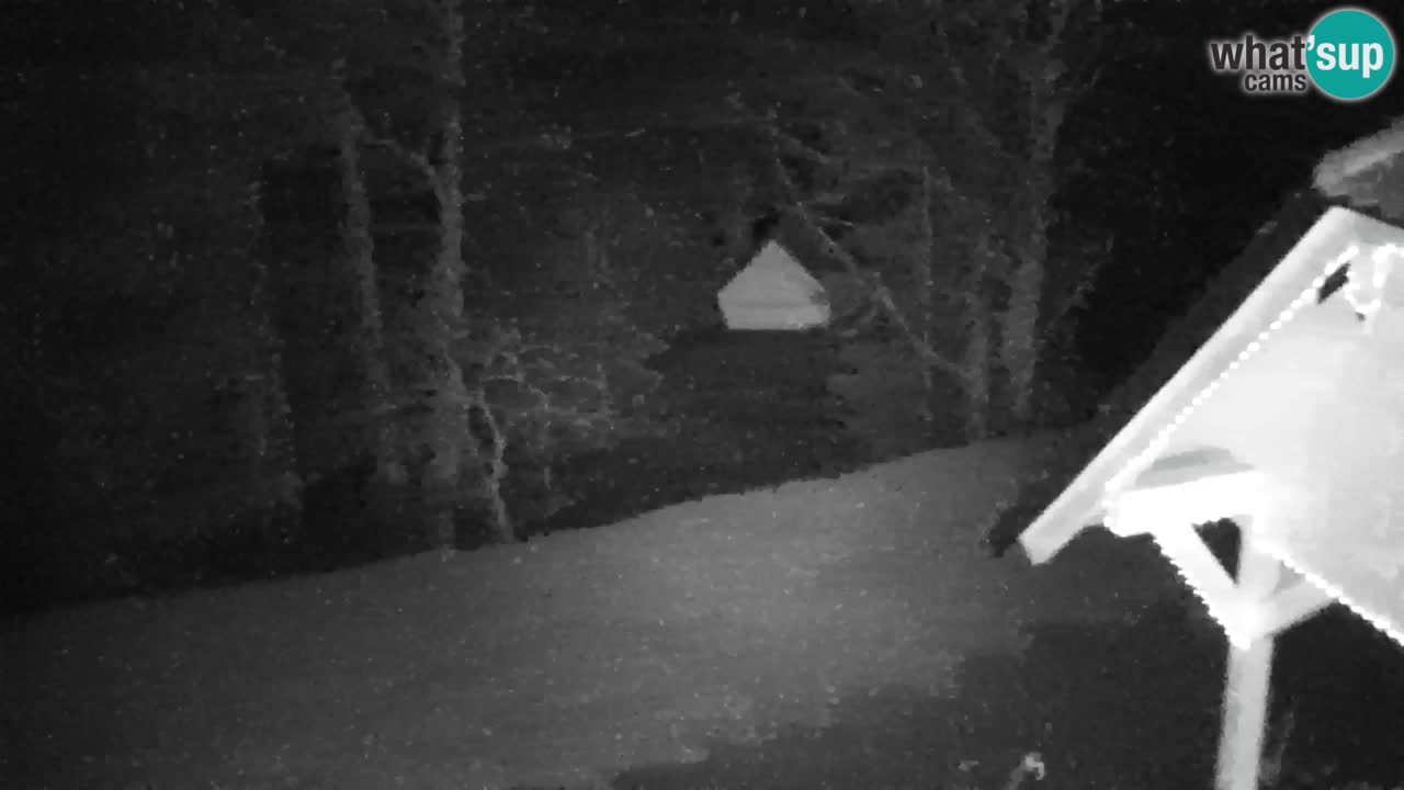 Webcam Lukanja – Water Village | Pohorje Houses