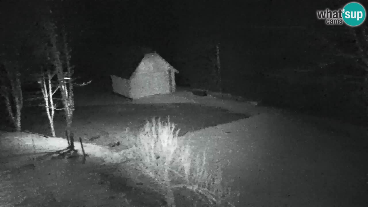 Webcam Lukanja – Pohorje houses a Water village