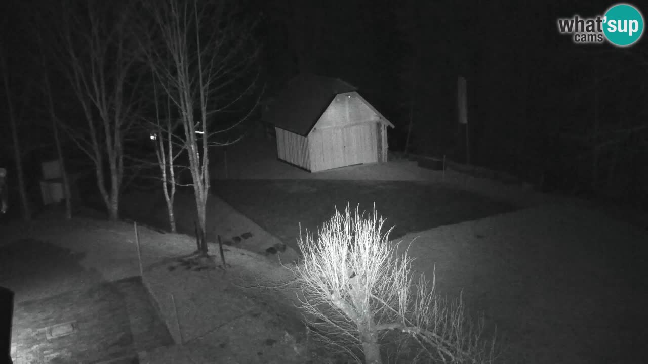 Webcam Lukanja – Pohorje houses a Water village