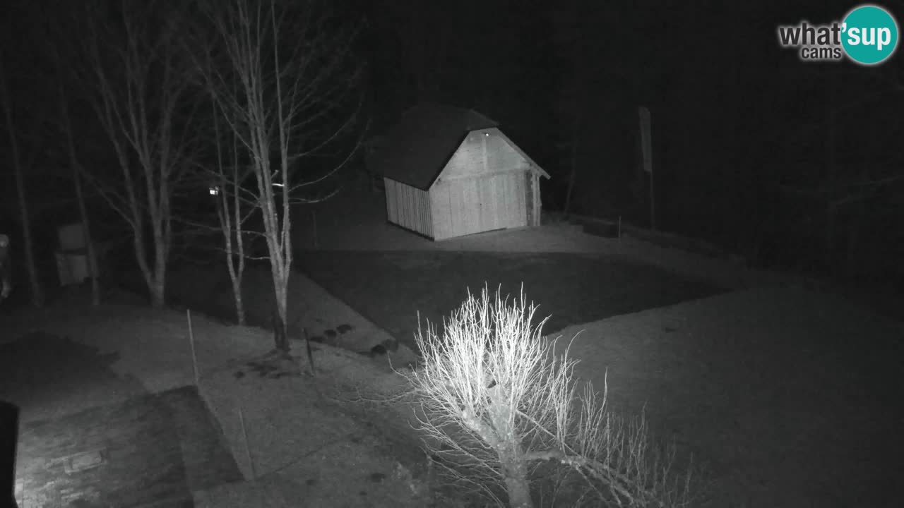 Webcam Lukanja – Water Village | Pohorje Houses