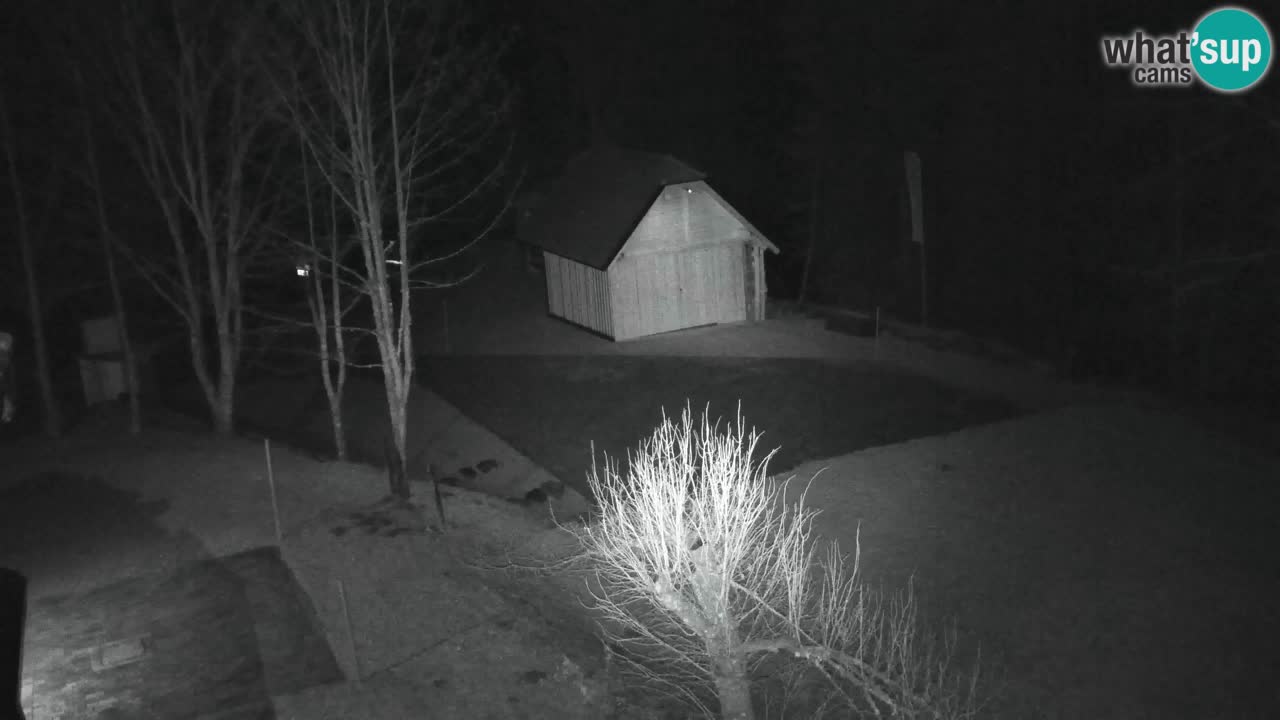 Web kamera Lukanja – Water Village | Pohorje Houses