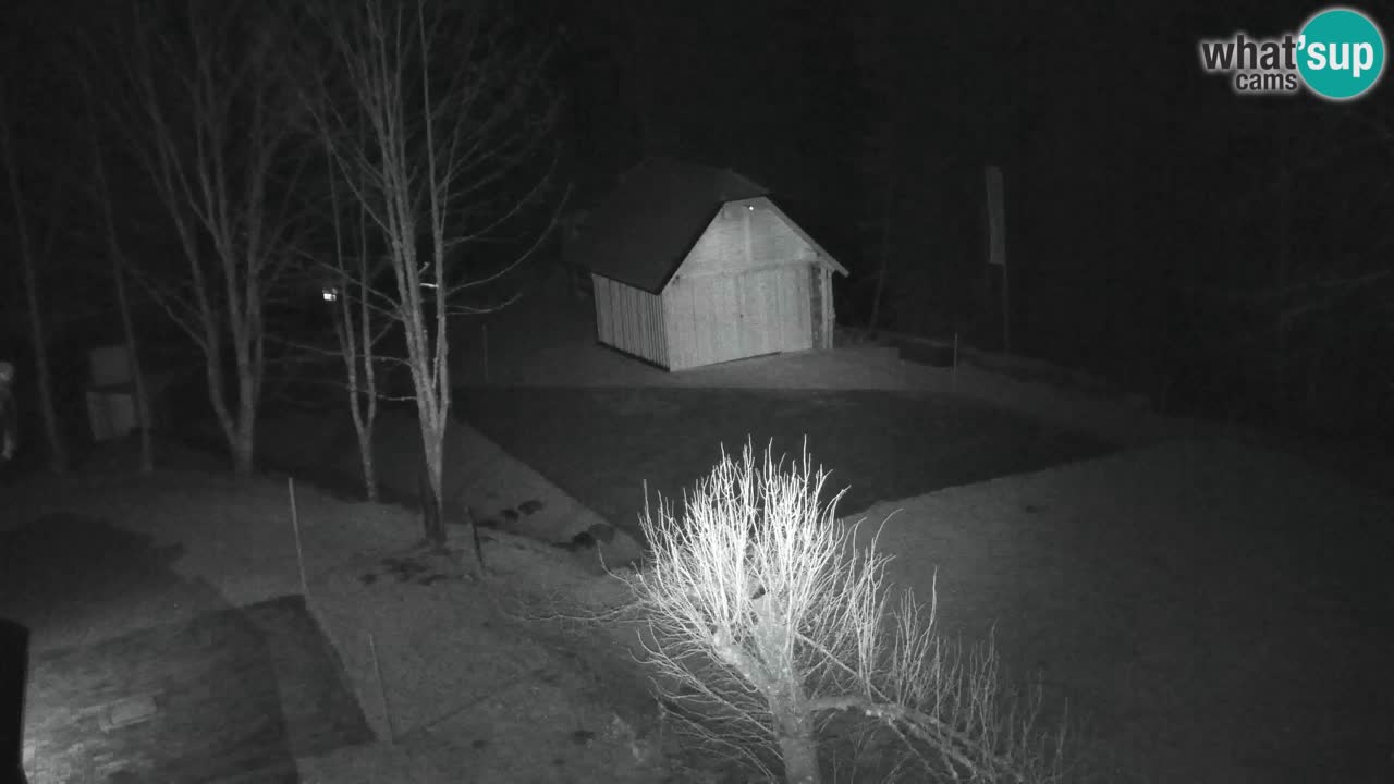 Webcam Lukanja – Water Village | Pohorje Houses