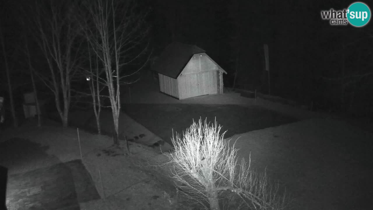 Webcam Lukanja – Pohorje houses a Water village