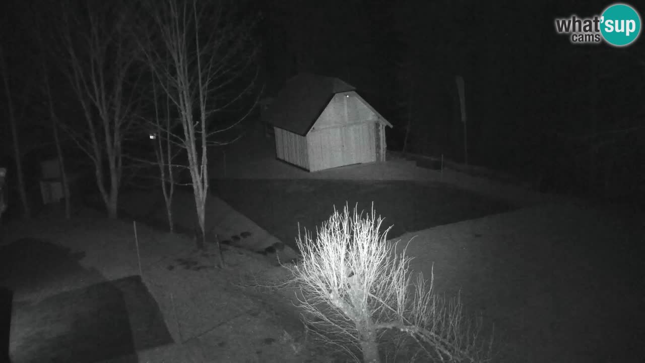 Webcam Lukanja – Pohorje houses a Water village