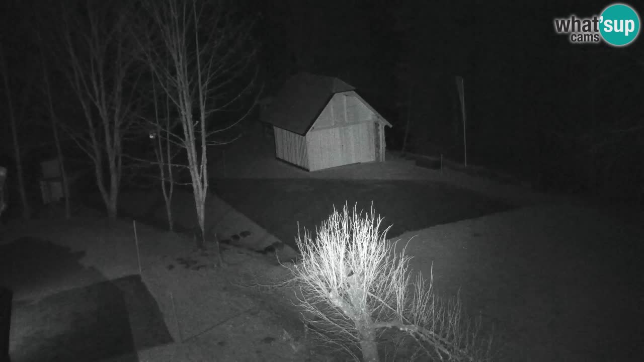 Webcam Lukanja – Water Village | Pohorje Houses