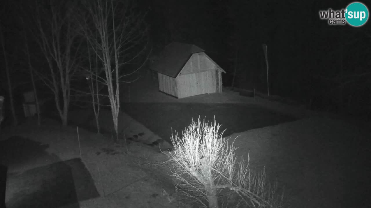 Webcam Lukanja – Water Village | Pohorje Houses