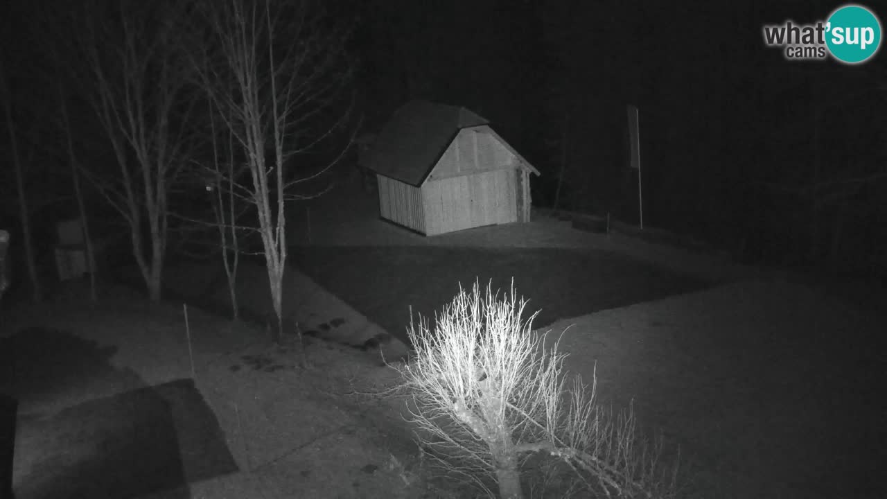 Webcam Lukanja – Pohorje houses a Water village