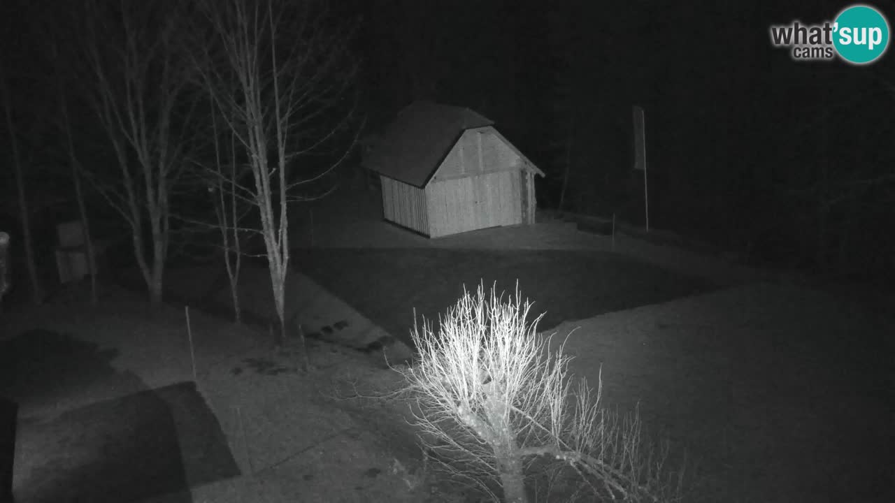 Webcam Lukanja – Water Village | Pohorje Houses