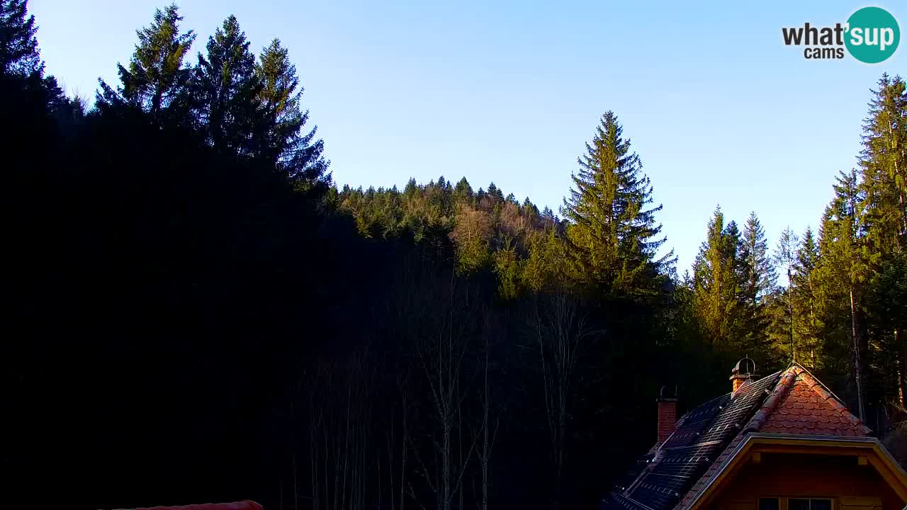 Webcam Lukanja – Water Village | Pohorje Houses