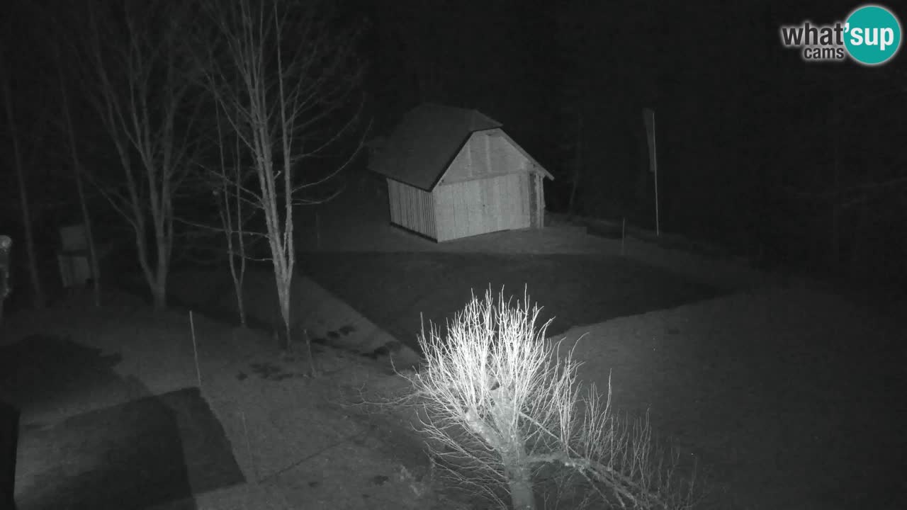 Web kamera Lukanja – Water Village | Pohorje Houses