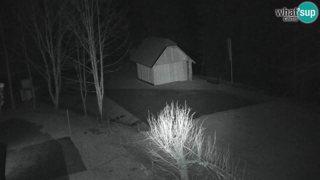 Webcam Lukanja – Water Village | Pohorje Houses