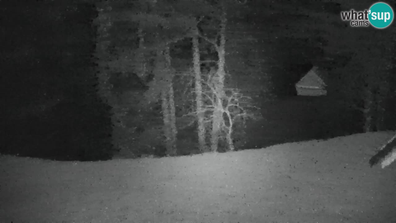 Webcam Lukanja – Water Village | Pohorje Houses