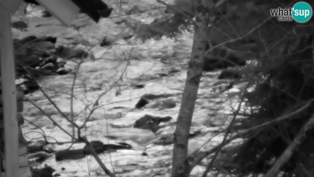 Webcam Lukanja – Water Village | Pohorje Houses