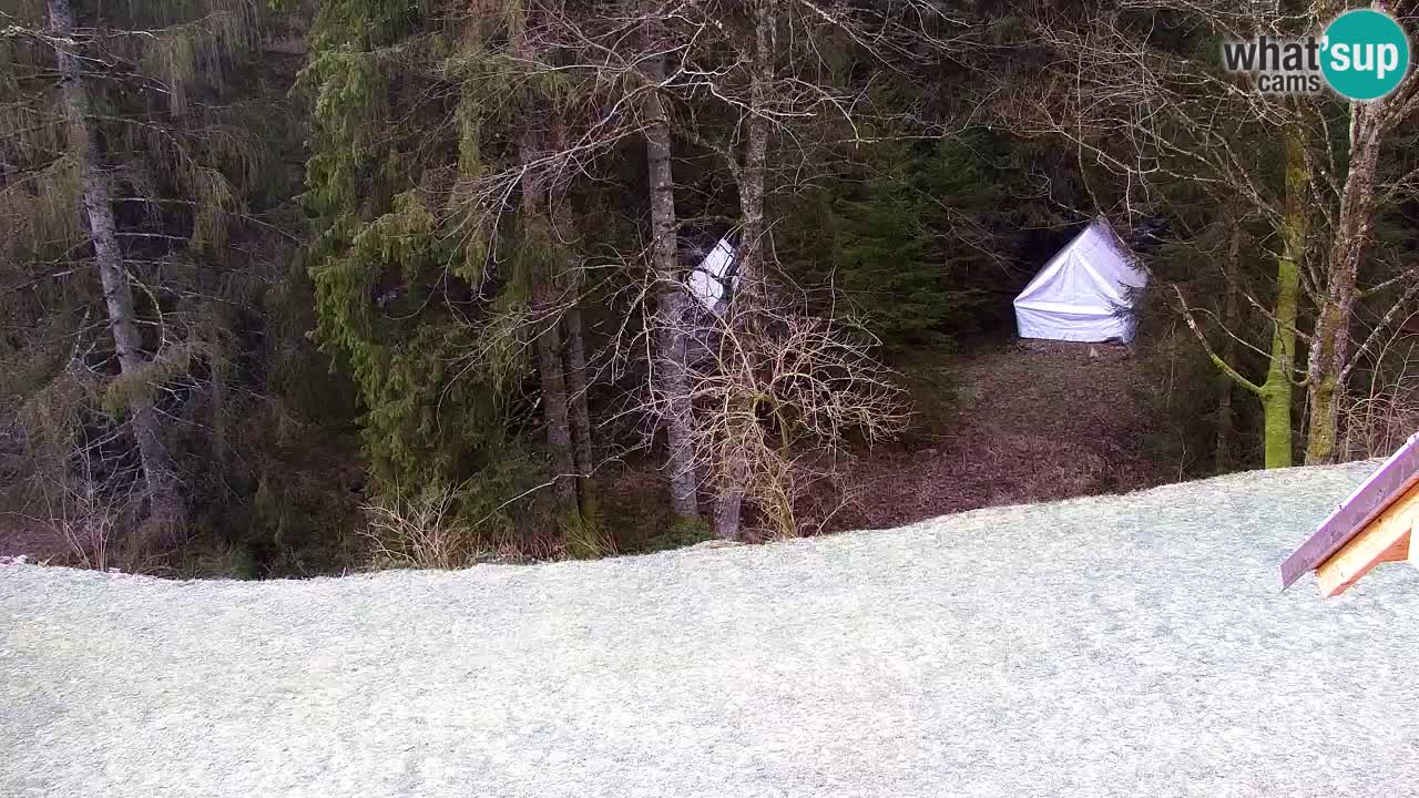 Webcam Lukanja – Water Village | Pohorje Houses