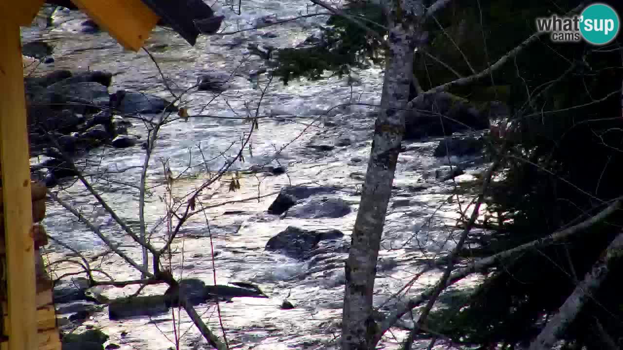 Spletna kamera Lukanja – Water Village | Pohorje Houses